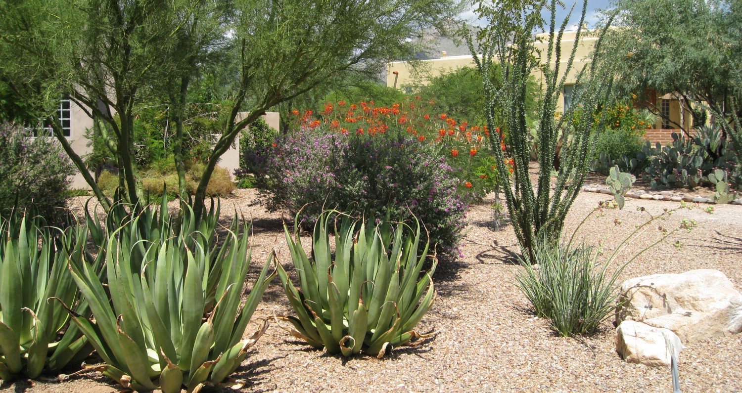 Courage & Renewal Arizona